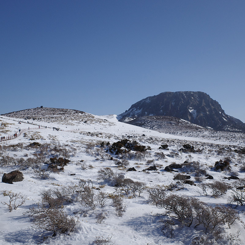 제주도 한라산 영실코스