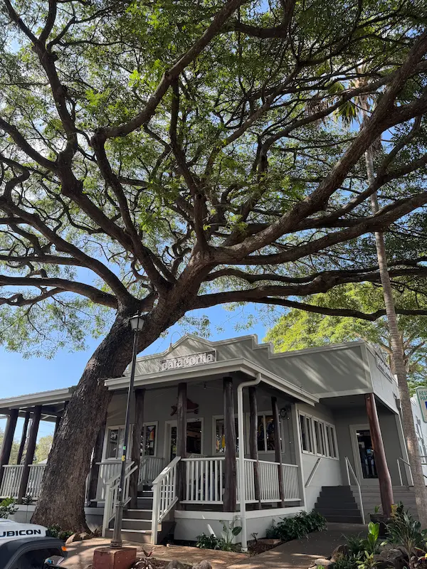 파타고니아 할레이와 매장 앞