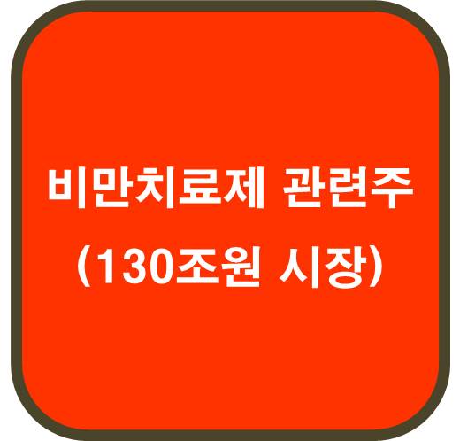 비만치료제 관련주 6종목