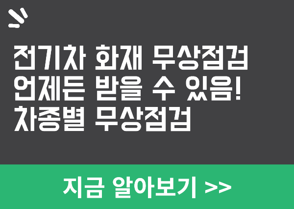 전기차 무상 안전점검