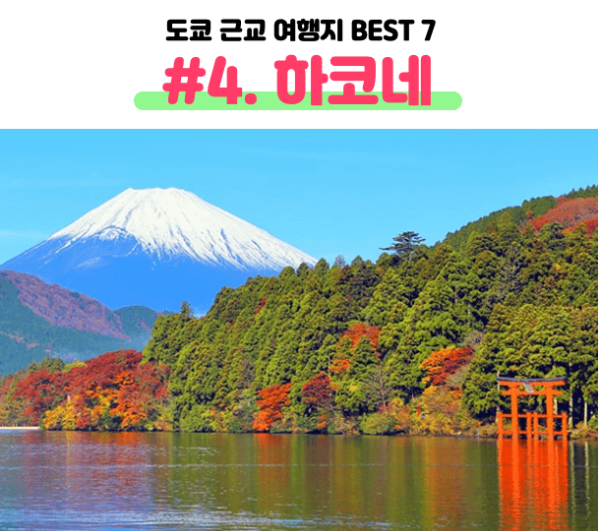 도쿄-근교-여행지-가마쿠라-에노시마-요코하마-하코네-이즈-닛코-카와고에-스이카-애플페이-일본-체크-카드-돈키호테-할인쿠폰