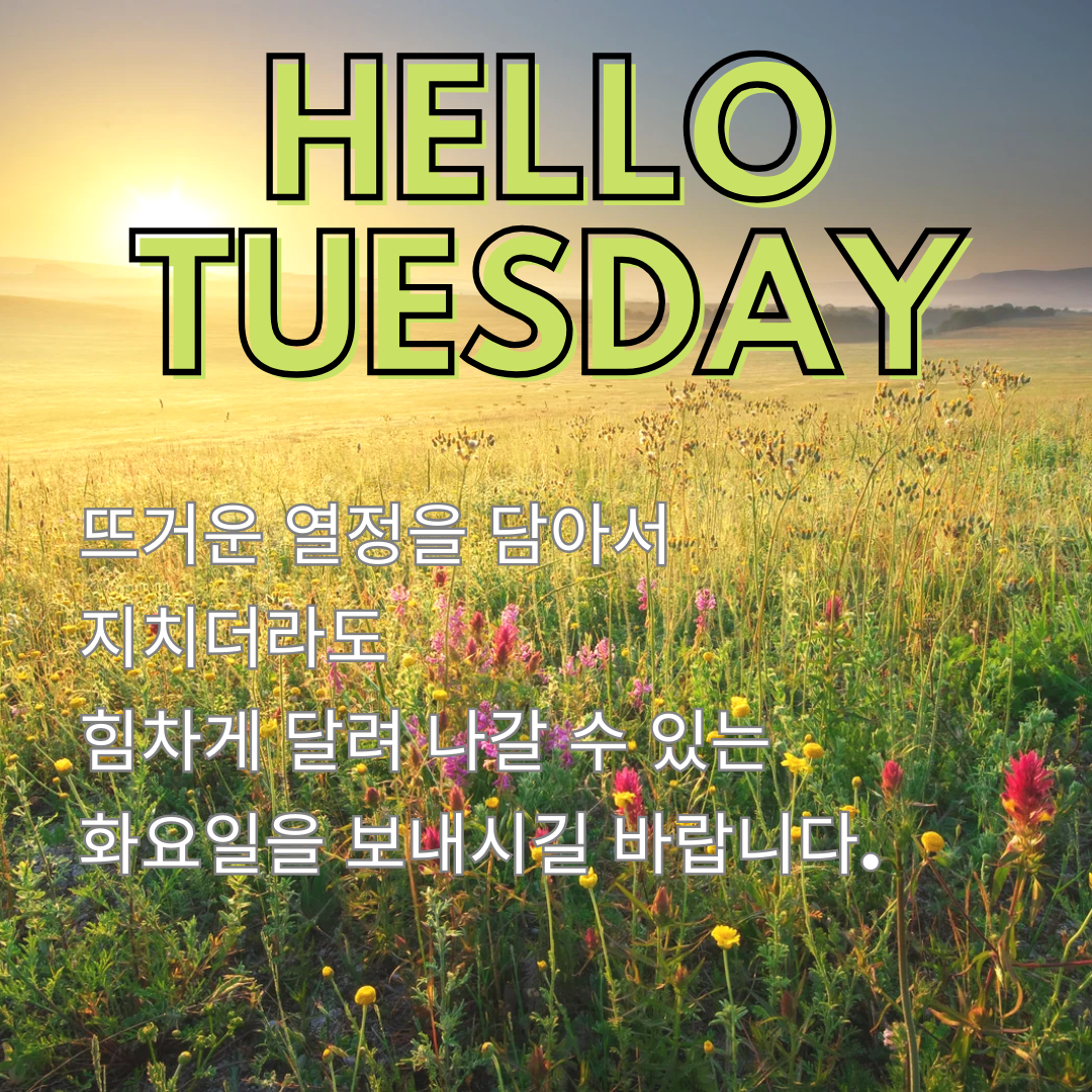 화요일 출근길 아침 인사말 문구 이미지 모음