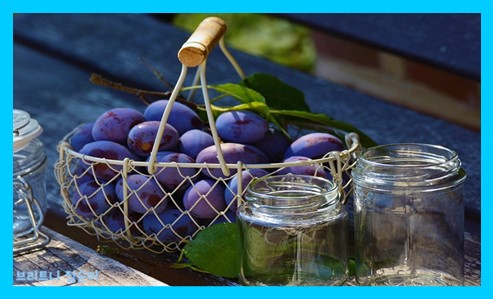 면역력에 좋은 음식10가지 사진