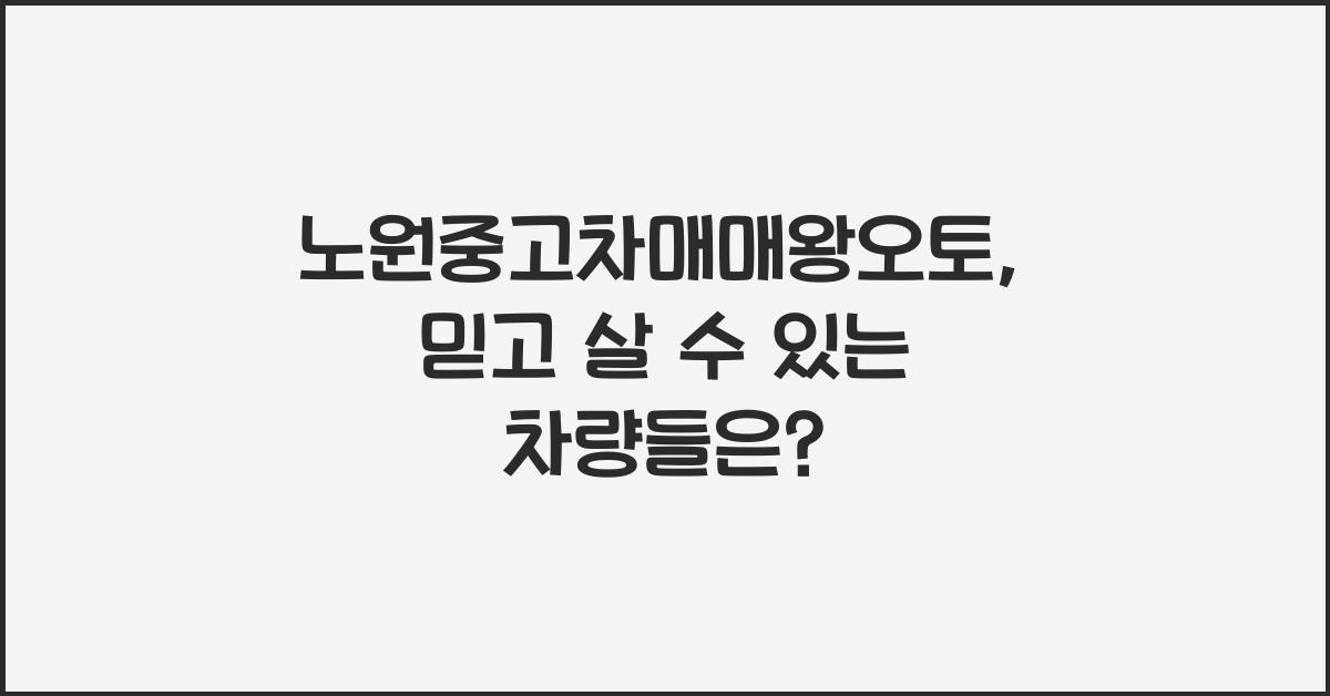 노원중고차매매왕오토
