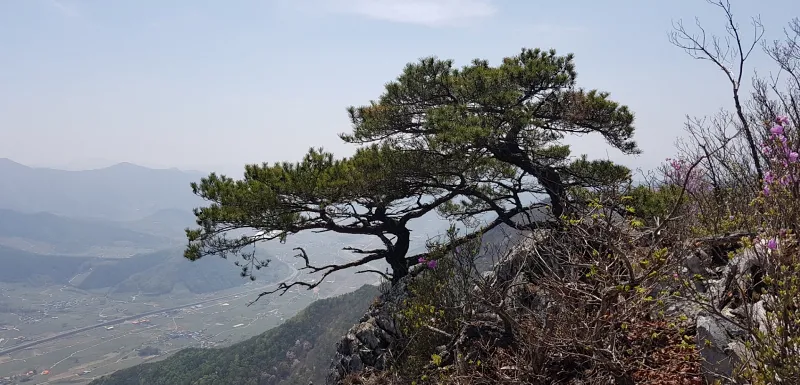 밀양 북암산 문바위 억산