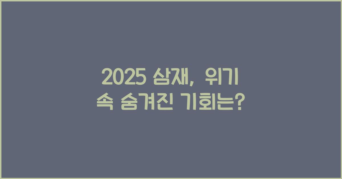 2025 삼재
