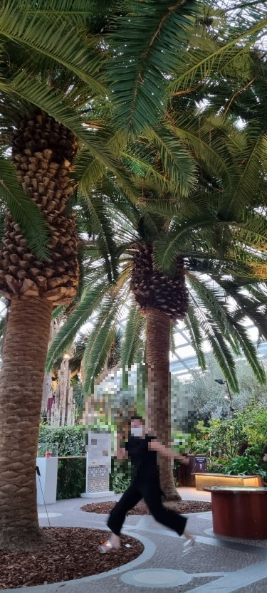 가든스 바이 더 베이 플라워 돔