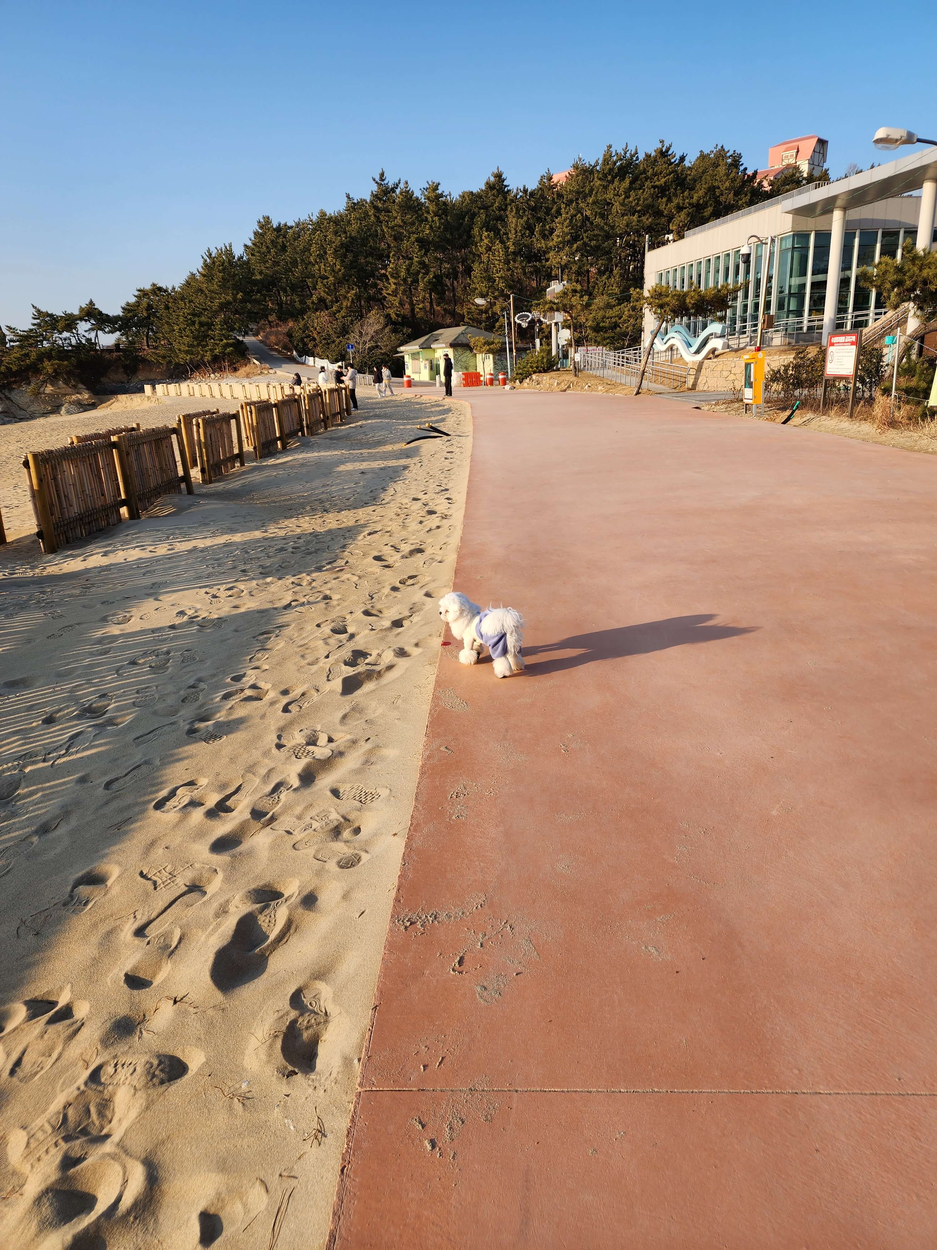 반려견과 변산반도여행 채석강