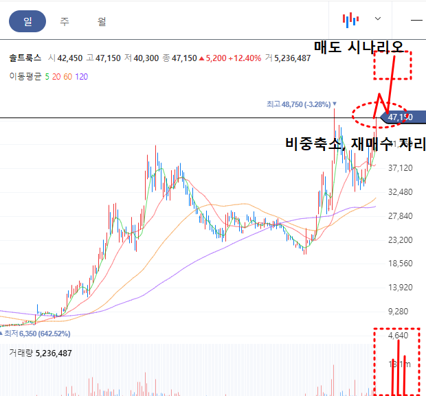 솔트룩스 일봉차트