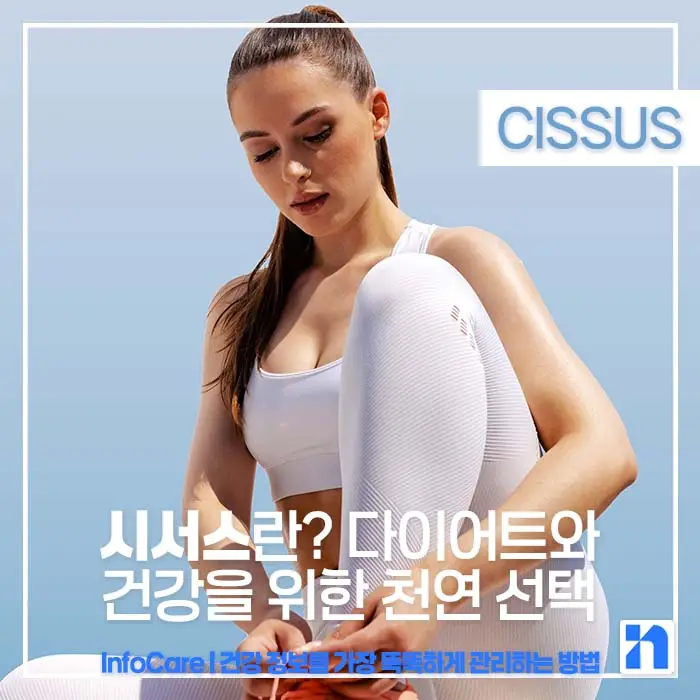 시서스 효능