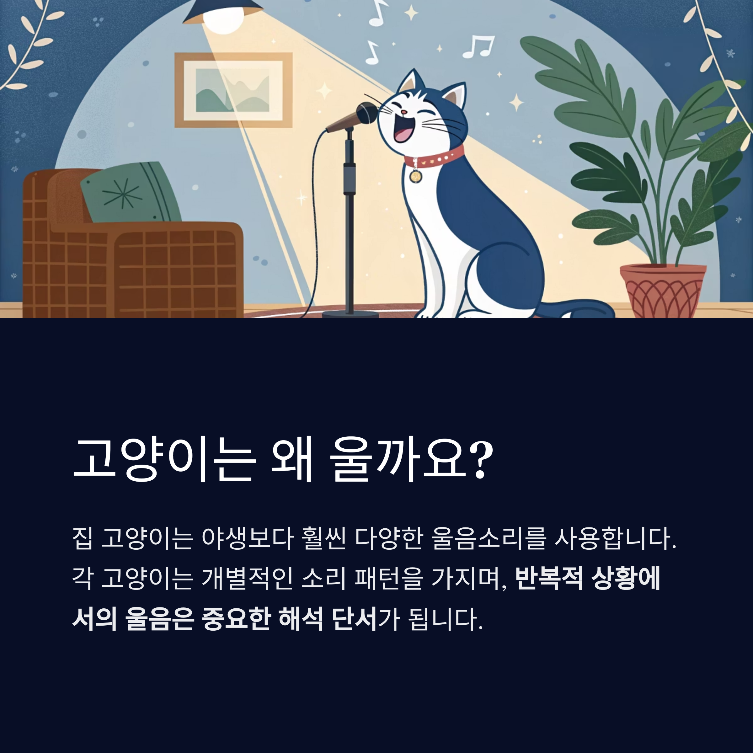 왜 울까요?