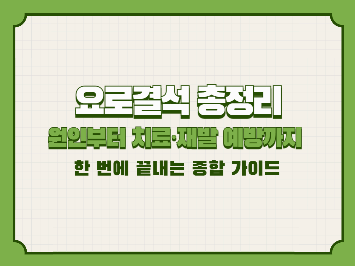 요로결석 총정리: 원인부터 치료&middot;재발 예방까지 한 번에 끝내는 종합 가이드