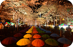 여좌천 로망스 다리