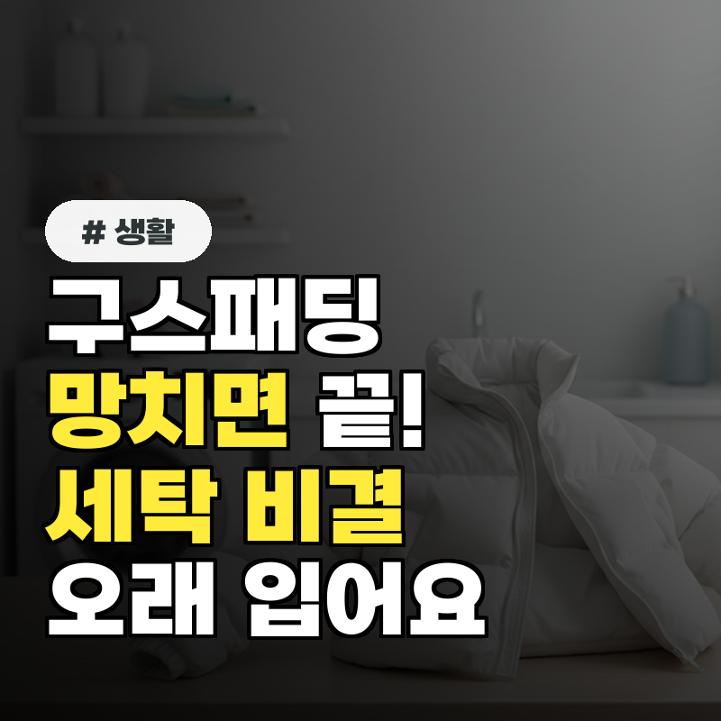 구스 패딩 세탁 망치면 끝! 겨울 패딩 세탁 후 오래 입는 비결