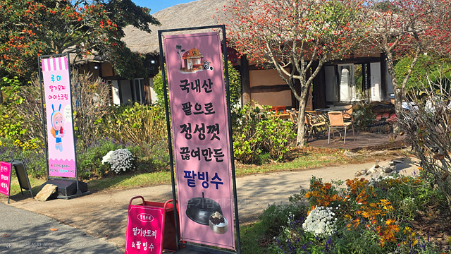 24년 순천만국가정원 동문 카페 음료가격 편의시설 식물원 동물원