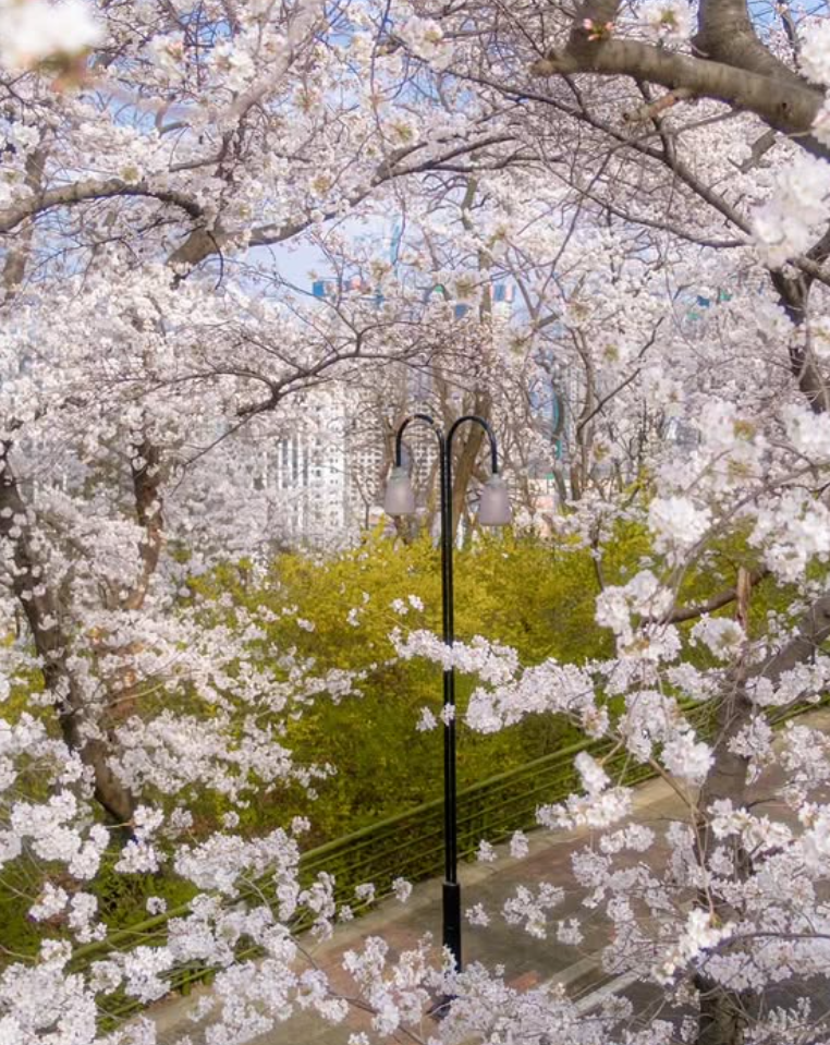 대구 이월드 자유이용권 할인