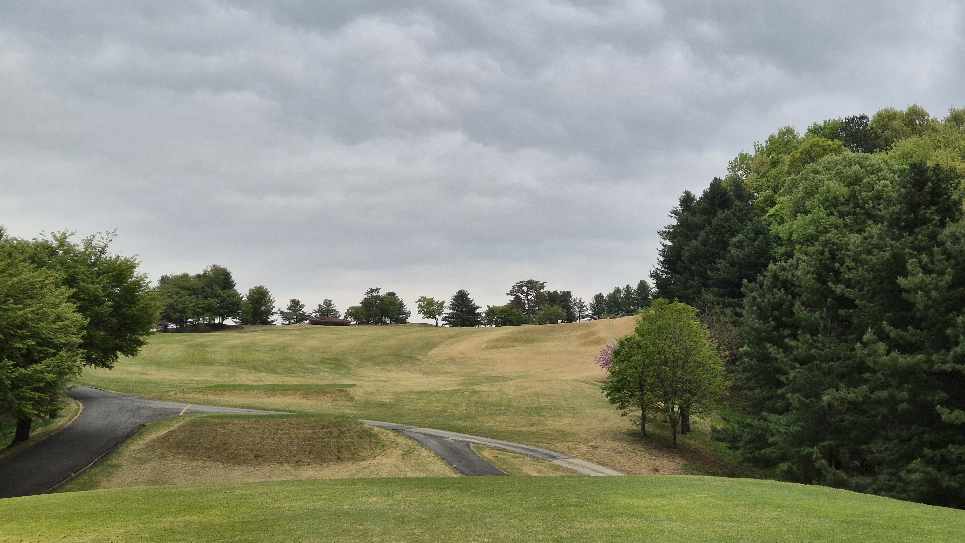 시그너스cc 코튼-라미 코스 사진 및 공략 정보