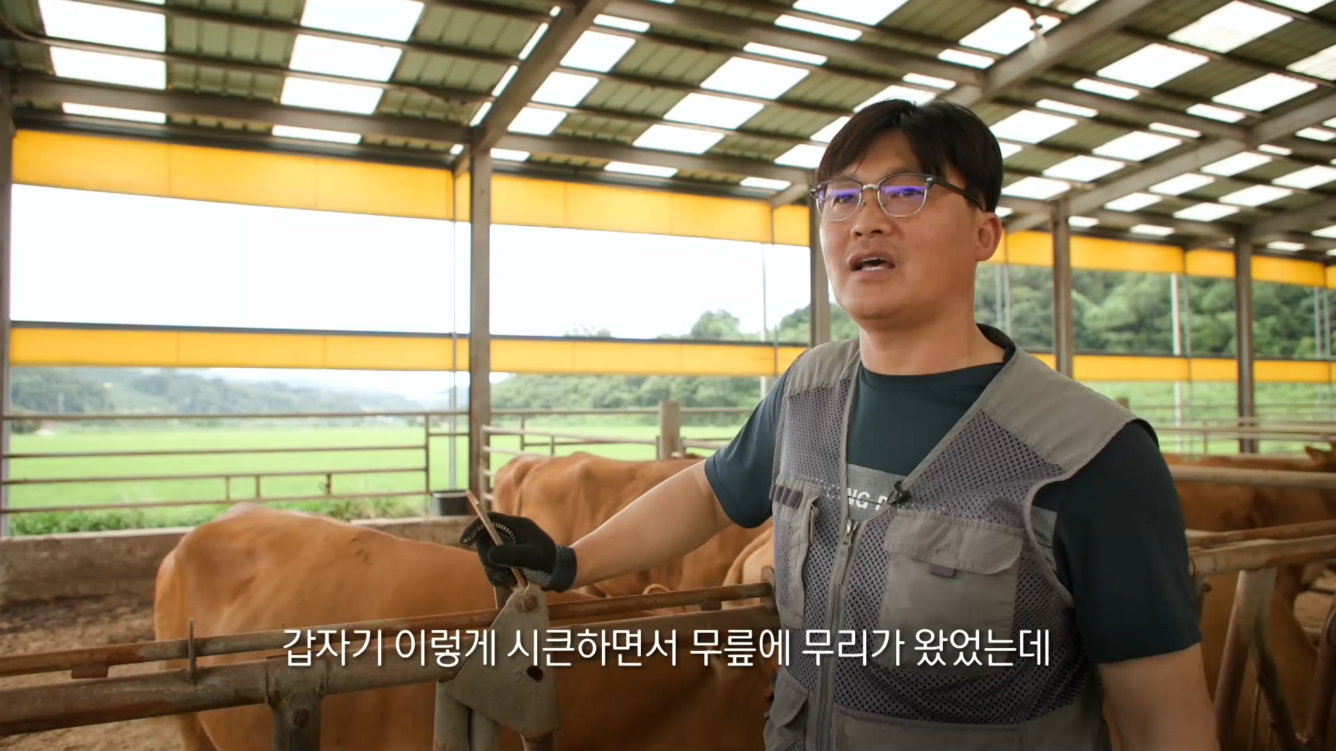 KBS 생로병사의 비밀 834회 정확도 높인 환자 맞춤형 로봇 인공관절 수술 후 무릎 통증 줄여 재활과 줄기세포 연골재생술 운동 비수술 보존 치료 방법 오늘방송 다시보기 정보