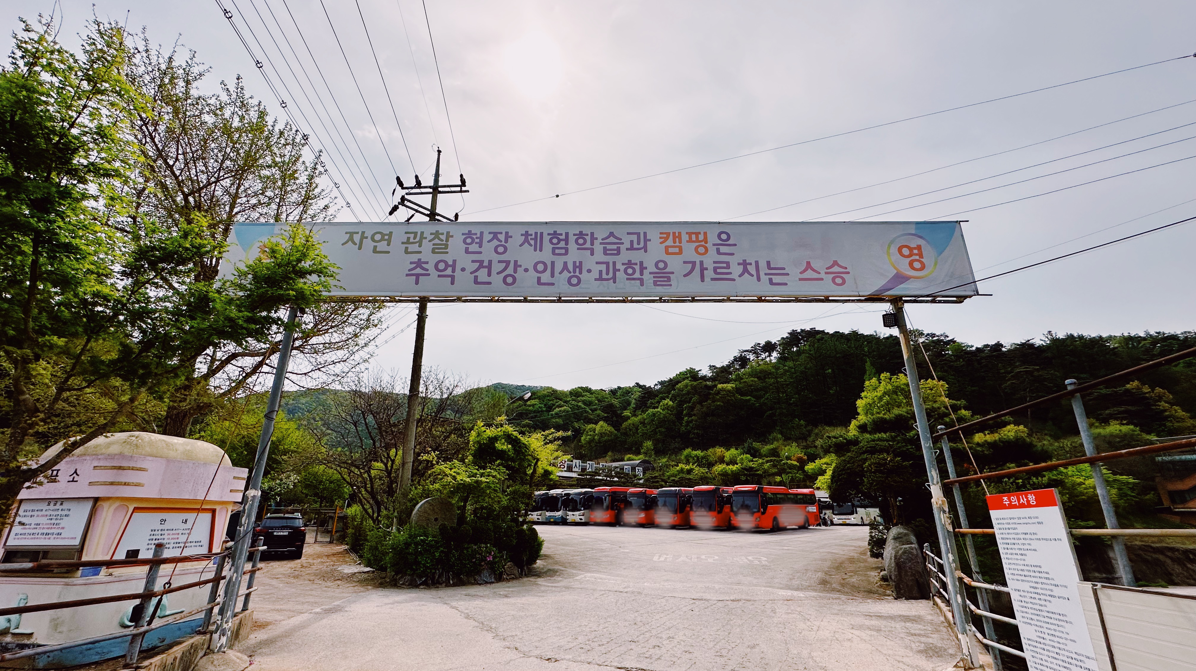 낭추골