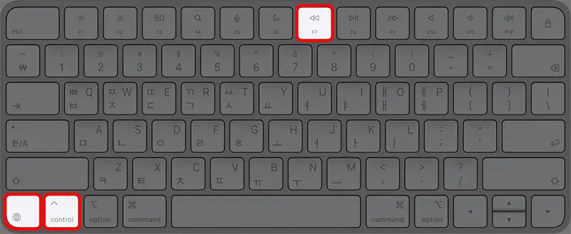 macOS에서 F키는 기본적으로 멀티미디어키로 할당되어 있어 fn키와 조합하여 사용해야 한다.