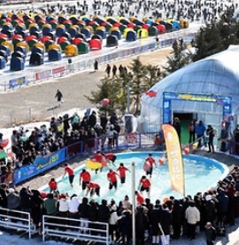 2025 평창송어 축제