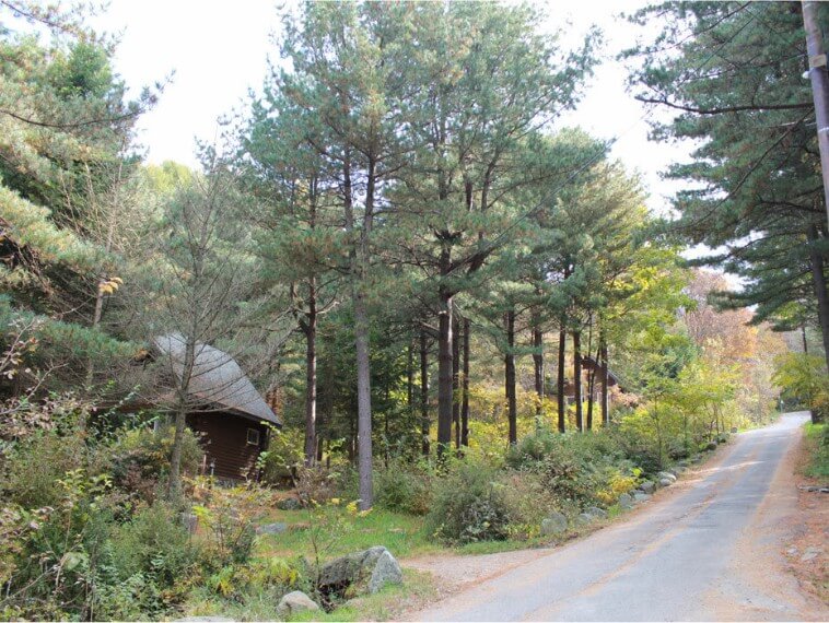 청태산자연휴양림 숲속의집