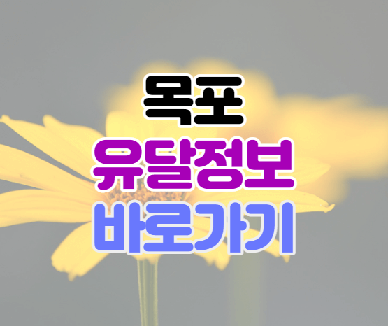 목포유달정보-이미지