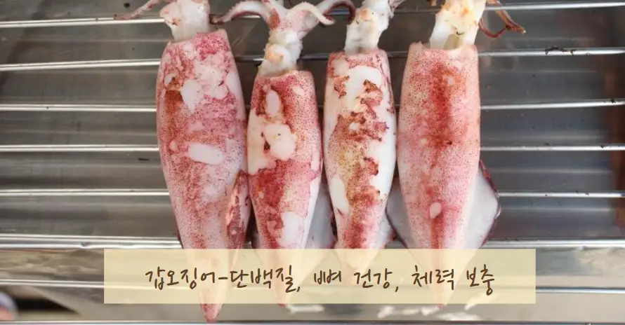 갑오징어 뼈건강