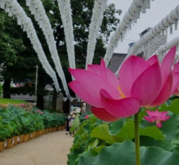 봉은사