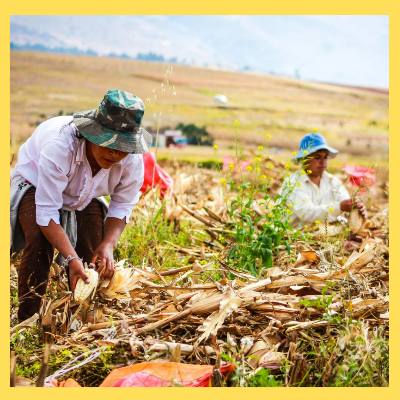 농식품바우처신청방법 