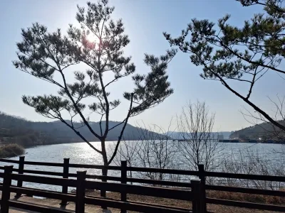 용인 반려견 산책 어디가 좋을까? 겨울에도 걷기 좋은 명소 추천