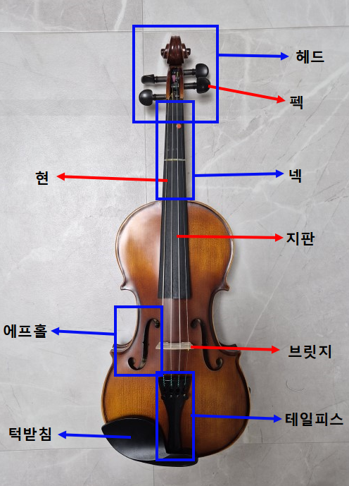 바이올린 구조와 명칭