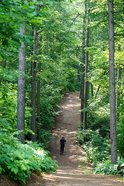 맨발 걷기 효능