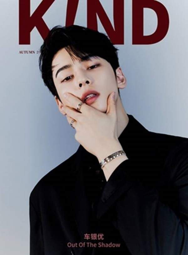 차은우 조세심판 청구 이유: 국세청 130억 세금 완납, 연예인 1인 기획사 실질과세 쟁점 정밀 분석