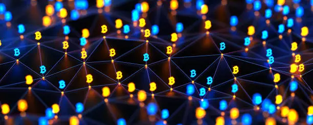 너보스 코인 호재 전망