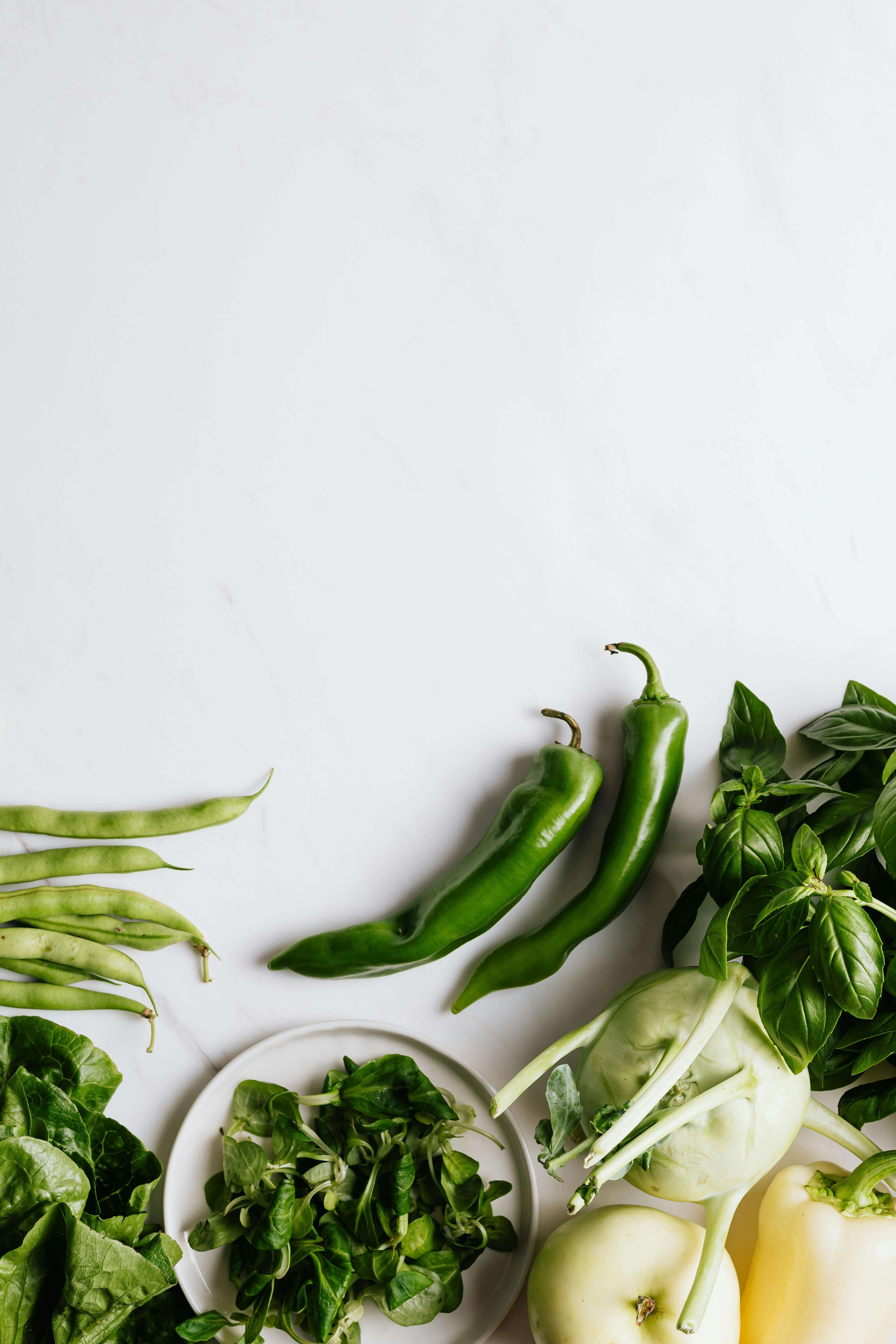 김장김치 보관의 정석, 김치냉장고 선택법