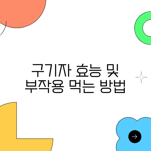 구기자 효능 및 부작용 먹는 방법