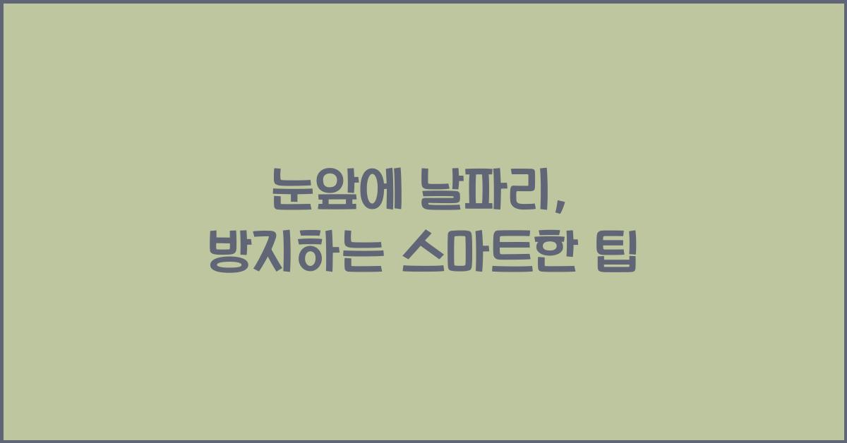 눈앞에 날파리