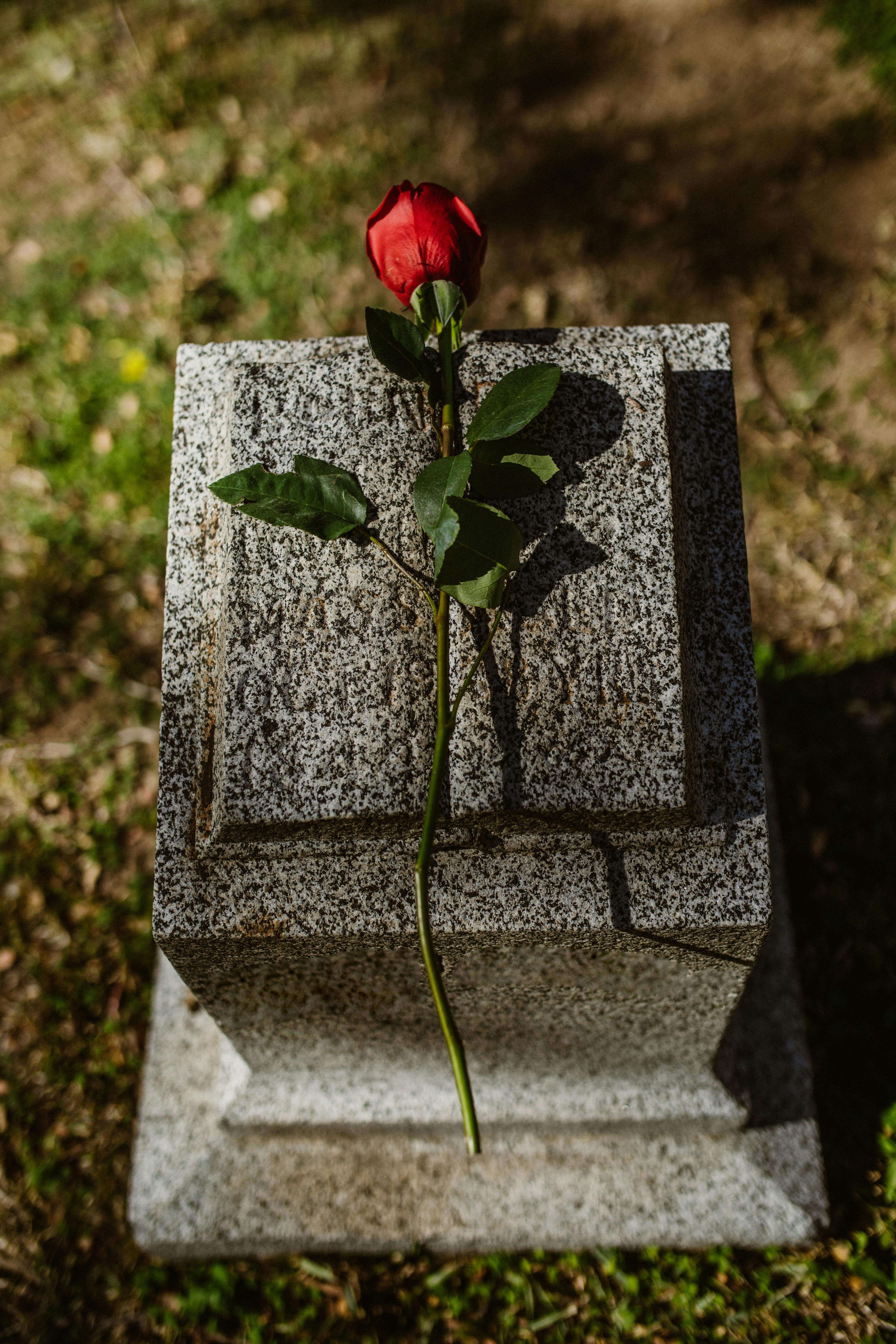 꿈해몽 : 죽음 관련(죽는&amp;#44; 장례&amp;#44; 총에 맞는&amp;#44; 슬퍼하는 등)