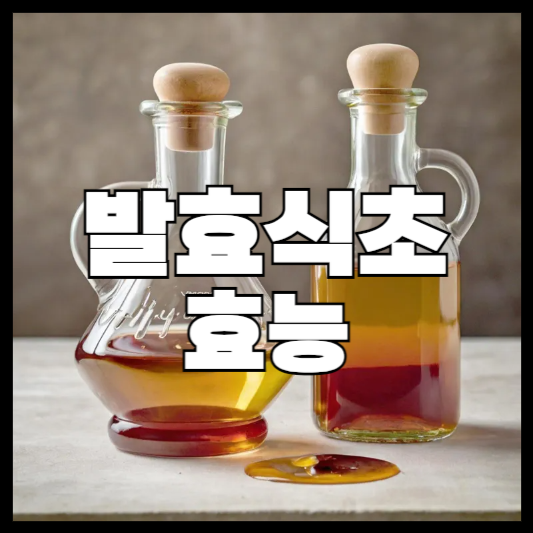 발효식초 효능