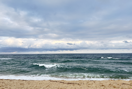 힐링을 가져다주는 안목 해변(가족휴식, 카페거리)