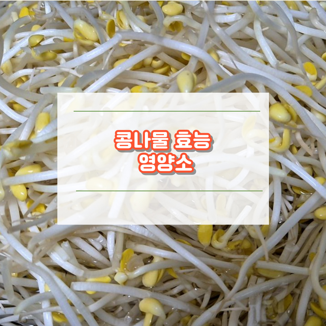 콩나물 효능 영양소