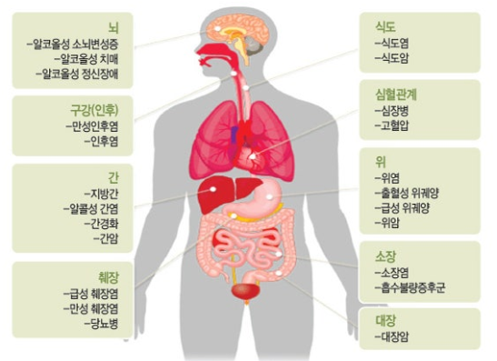 방사선치료 정밀도 향상의 의미 관련 이미지