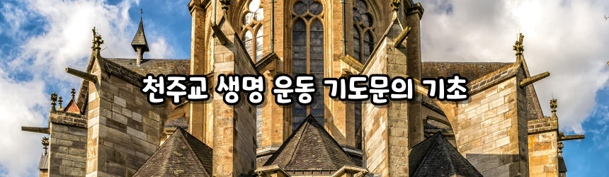 천주교 생명 운동 기도문