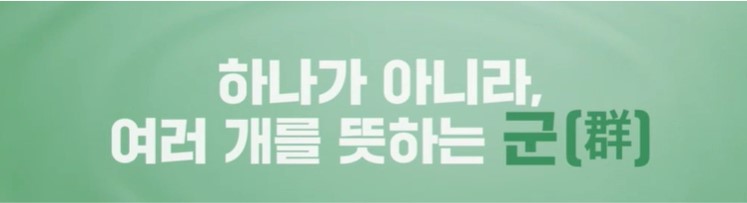 비타민B군
