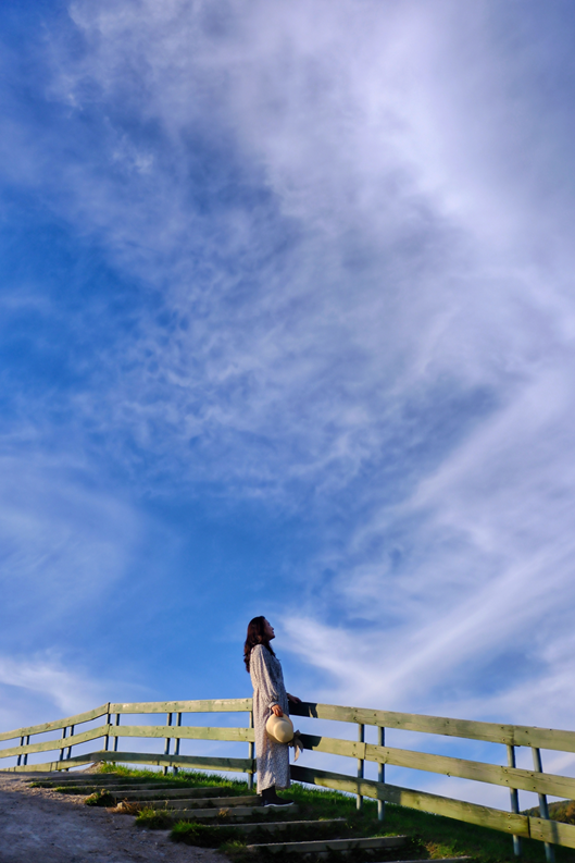 푸른 하늘 배경의 대관령 양떼 목장 풍경