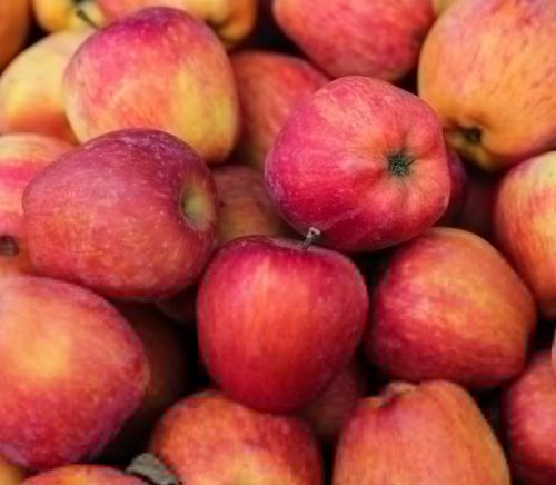 혈당 낮추는 다이어트 음식 | 땅콩버터 추천해요