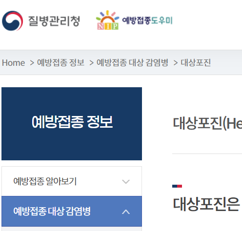 대상포진 무료접종