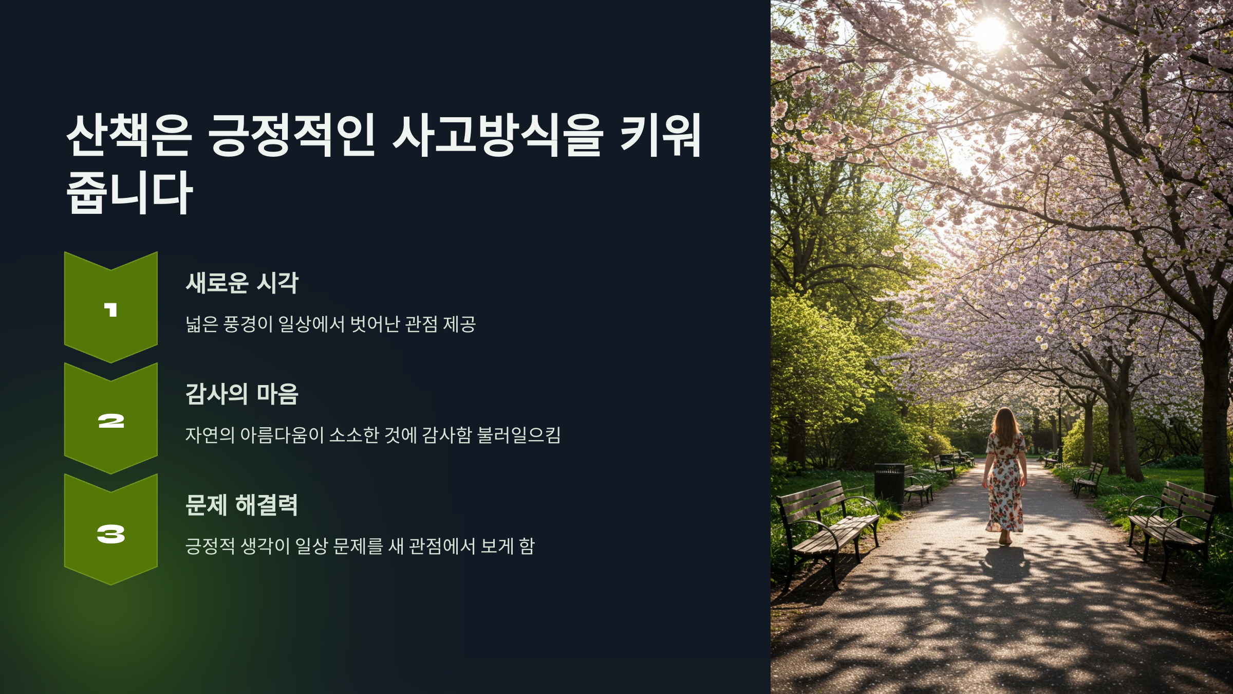 산책은 긍정적인 사고방식을 키워줍니다.