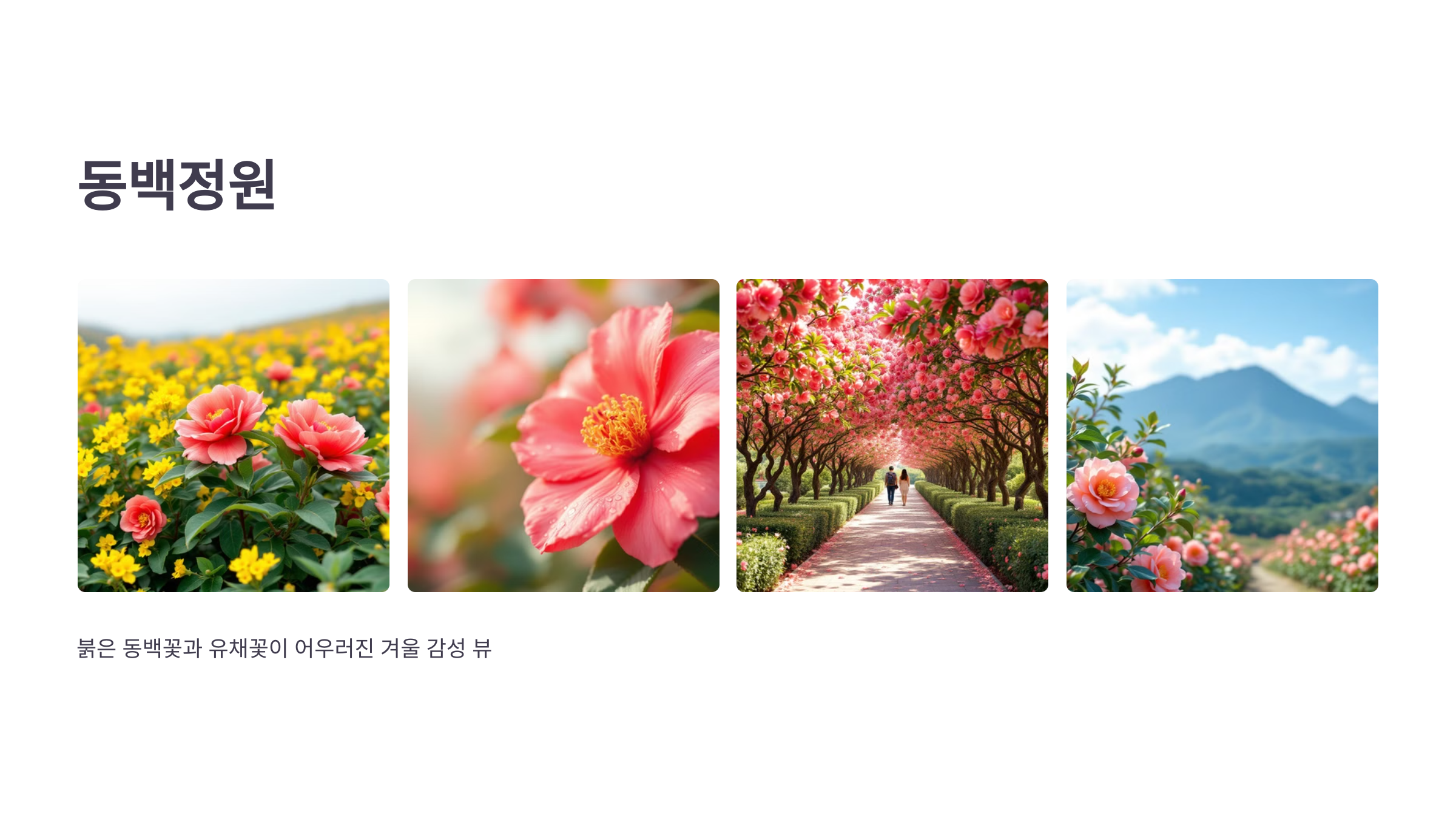 제주의 봄! 휴애리 유채꽃 축제!